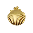 Clam Locket